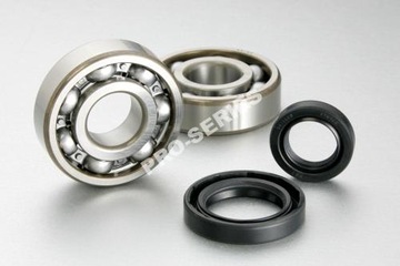 Bearing wheels front set kawasaki kfx kvf, фото