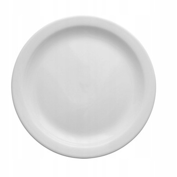 Dinner plate small dinner fondant america 24 centimeters, фото