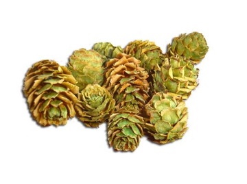 Bump modrzewiowa cones larch green 4 pcs, фото