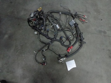 Ford mustang 2.3 ecoboost wiring on the engine automaton, фото