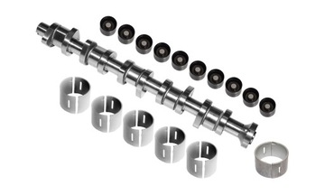 Camshaft vw t5 touareg 2.5 tdi bpc bnz set, фото