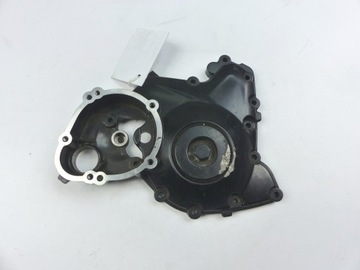 Cover motor triumph speed triple sprint tiger, фото