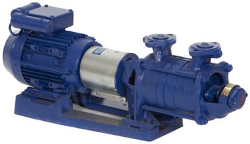 Pump grudziadzka ska 3.02 1, 1/ 230v two-stage, фото