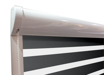 Shutter internal day and night in the cartridge 47x160 dn, фото