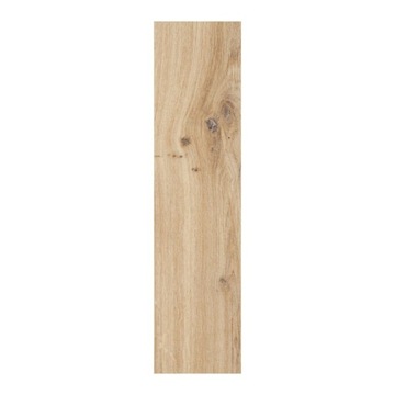 Tree-like dubli 15x62 brown zl/ m2!!! gat 2, фото