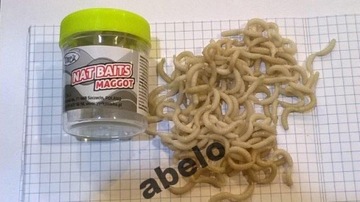 Nat Baits MAGGOT SZTUCZNY BIAŁY ROBAK