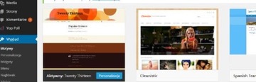 Курс WORDPRESS 3.8 BASICS — DVD