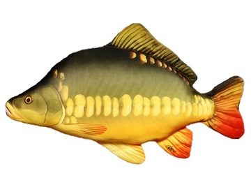 Подушка-талисман Карп (Cyprinus carpio) 61 см