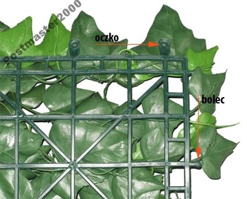 Zielony panel sztuczny cytryniec liście w kolorach jesieni maty