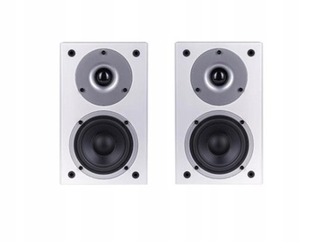 Wilson Raptor Mini - Kolumny Surround Hi-Fi