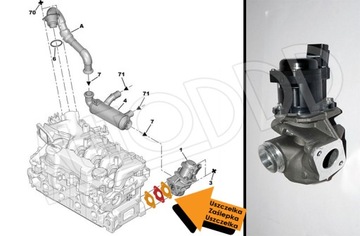 3 Заглушка EGR FORD PEUGEOT CITROEN 1.4 1.6 HDI TDCi