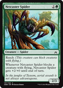 MTG 4x Netcaster Spider