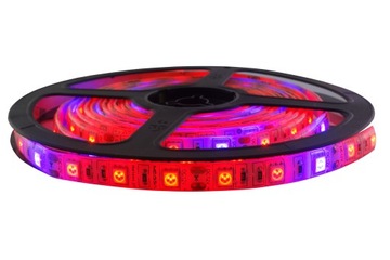 ZESTAW taśma LED 300 GROW IP65 wzrostu roślin 1m