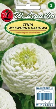 CYNIA WYTWORNA DALIOWA POLAR BEAR BIAŁA 1g nasiona