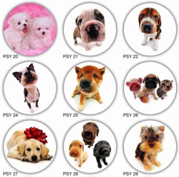 Топперы для торта DOGS & DOGS, диаметр 20 см, плотные, яркие цвета