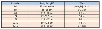 ФРАНЦ САНДНЕР 1/2 СКРИПКА + ФОРМАТ + Смычок