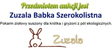 ZUZALA Подорожник широколистный 100г/упаковка 1/А98