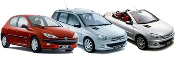 Диски, колодки 247мм ЗАДНИЕ Peugeot 206 CC SW 98-2010