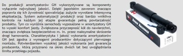 ПОД ПРУЖИНЫ VW TRANSPORTER T5 BLASZAK задние *Silesia