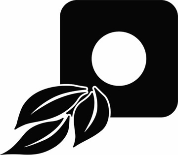 NAKLEJKA pod WŁĄCZNIK kontakt KWIATEK liście do salonu