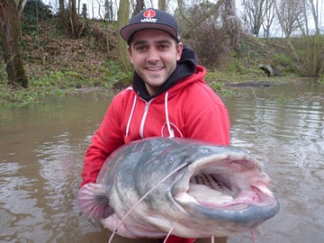 GRAUVELL COLOSSUS TORO CATFISH KOŁOWROTEK NA SUMA