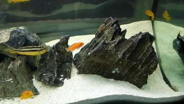 Kamień Skała GRAY MOUNTAIN do Akwarium HIT 1kg