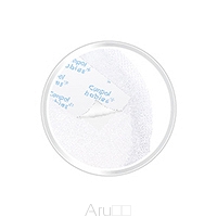 CANPOL WKŁADKI LAKTACYJNE PRZYLEPIEC 140SZT 1/654