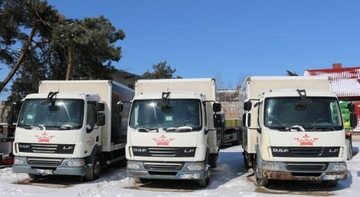 DAF LF 45 2008 DAY CAB, ПОЛНАЯ КОМПЛЕКТАЦИЯ, АКЦИЯ!