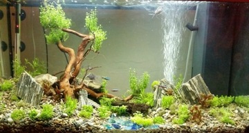 20 КГ ДЕРЕВЯННОГО КАМНЯ ЛУПЕ ДЛЯ АКВАРИУМА ИВАГУМИ