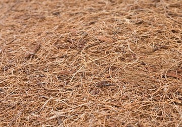 KOKOSOWY MATERACYK MATERAC DO WÓZKA GONDOLI 75x35