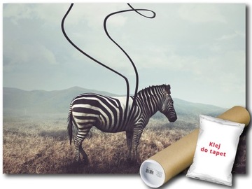 FOTOTAPETA FAUNA ZEBRA 12C F2XL 312x219 F11754