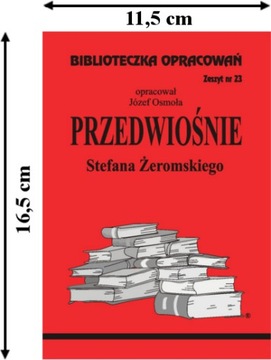 23 Ранняя весна С. Жеромский Подготовка к чтению