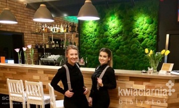 Зеленый подушкообразный мох ЭФФЕКТИВЕН на площади 25х25см.