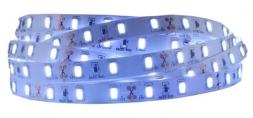 Taśma LED 5630 300 SMD IP20 12V biała zimna 0.5m