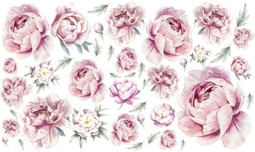 Naklejka na ścianę dekoracyjne PIWONIE kwiaty PEONIE duży zestaw 60x100 XL