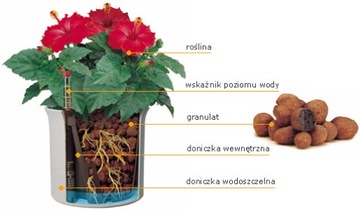 фото ориг. №5, Hydroponics great liner to hydroponics 32/ 19 plants