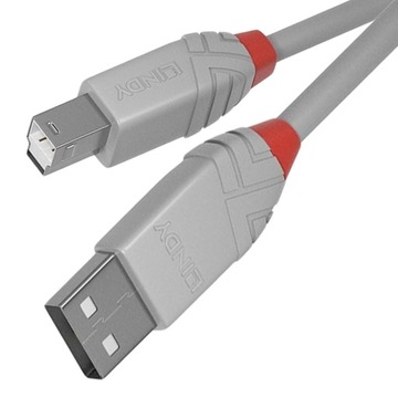 KABEL PRZEWÓD USB 2.0 A-B LINDY DO DRUKARKI 5m