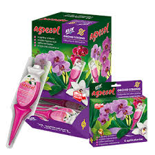 APLIKATOR ORCHID STRONG ODŻYWKA DO STORCZYKÓW 30ml 32szt.