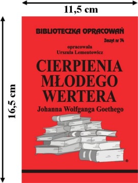 Краткое содержание «Страдания молодого Вертера Гете»