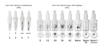 Dermapen E30C МИКРОНАЛЬНАЯ МЕЗОТЕРАПИЯ +10 КАРТРИДЖЕЙ