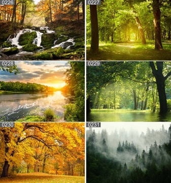 Plakat poster PSY KOTY ZWIERZĘTA 40x30 max wybór