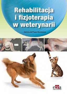 Fizjoterapia i rehabilitacja w weterynarii psów