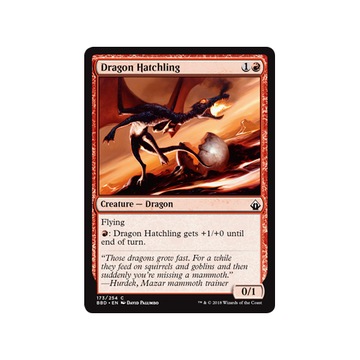 MTG 4x Dragon Hatchling