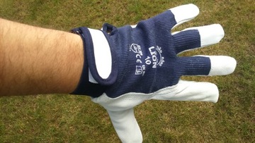 Рабочие перчатки LION Assembly, козья кожа, 12 пар