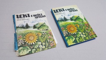 Pan Samochodzik renowacja naprawa odnowienie