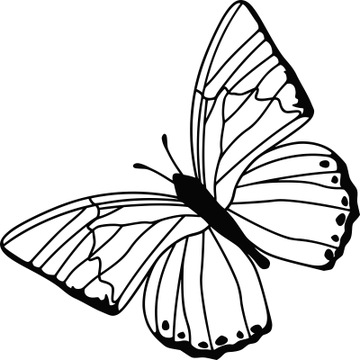 Naklejka dekoracyjna na ścianę ścienna MOTYL do salonu dla dziecka 30 cm