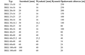 Korytko listwa kanał kablowa PCV 20x10 2metry