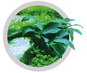 EASY LIFE EASYCARBO 250 мл ЖИДКИЙ CO2 ОТЛИЧНАЯ ЦЕНА