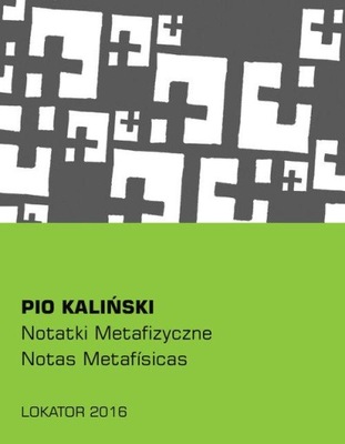 Notatki metafizyczne Pio Kaliński Lokator