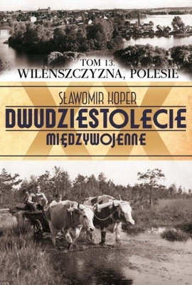 Dwudziestolecie Międzywojenne Tom 13 Wileńszczyzna Polesie Sławomir Koper
